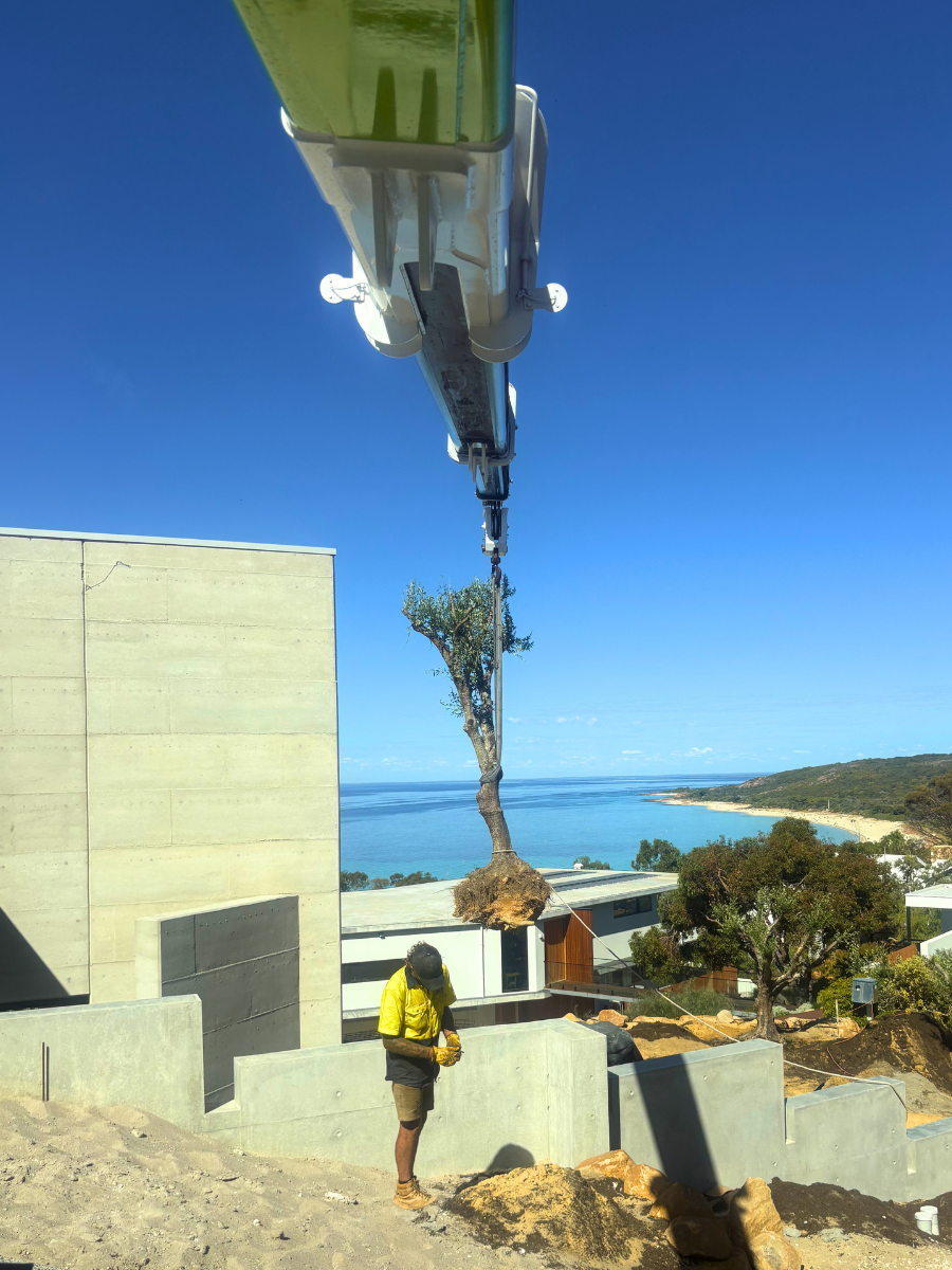 dunsborough-crane